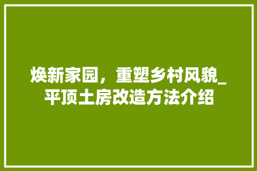 焕新家园，重塑乡村风貌_平顶土房改造方法介绍