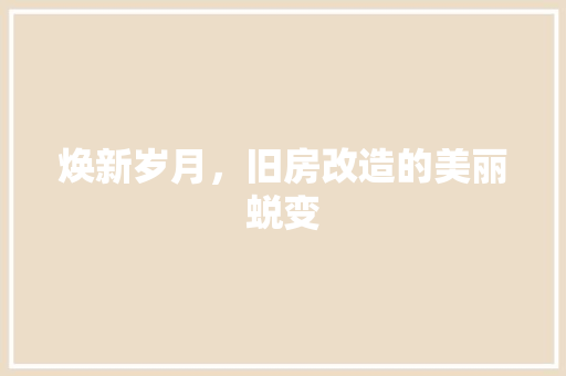 焕新岁月，旧房改造的美丽蜕变