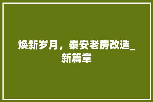 焕新岁月，泰安老房改造_新篇章