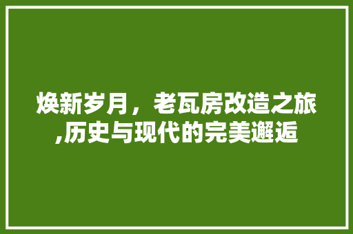 焕新岁月，老瓦房改造之旅,历史与现代的完美邂逅