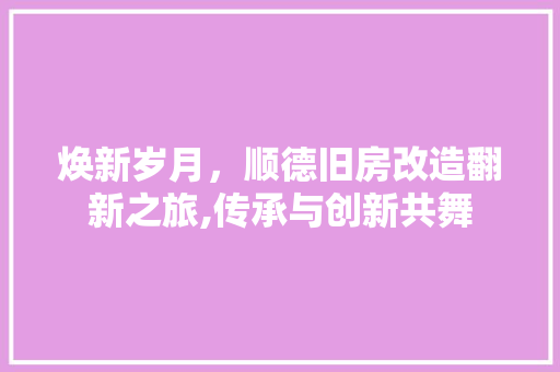 焕新岁月，顺德旧房改造翻新之旅,传承与创新共舞