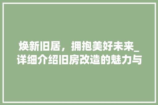 焕新旧居，拥抱美好未来_详细介绍旧房改造的魅力与价值 厨房维修