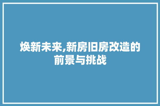 焕新未来,新房旧房改造的前景与挑战 厨房维修