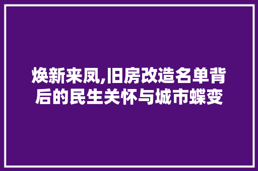 焕新来凤,旧房改造名单背后的民生关怀与城市蝶变