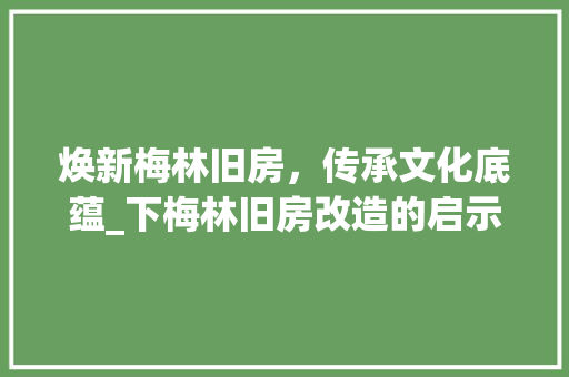 焕新梅林旧房，传承文化底蕴_下梅林旧房改造的启示与展望 综合便民