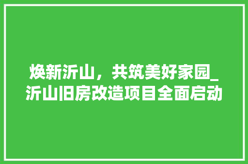 焕新沂山，共筑美好家园_沂山旧房改造项目全面启动