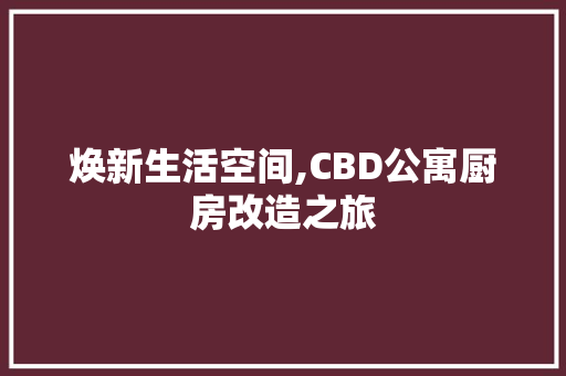 焕新生活空间,CBD公寓厨房改造之旅