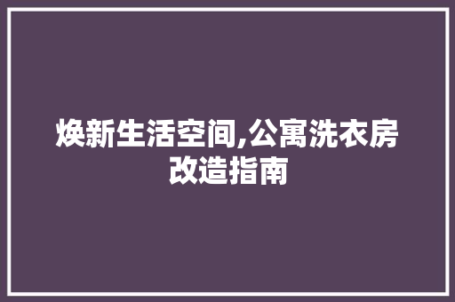 焕新生活空间,公寓洗衣房改造指南