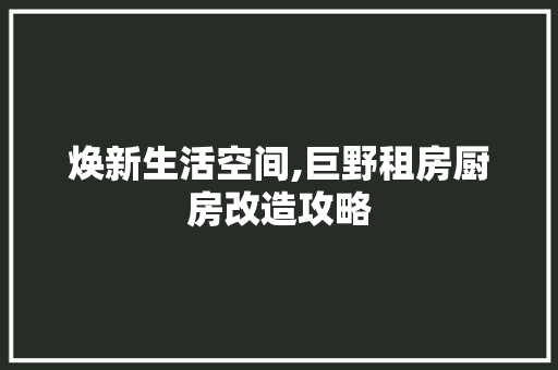 焕新生活空间,巨野租房厨房改造攻略