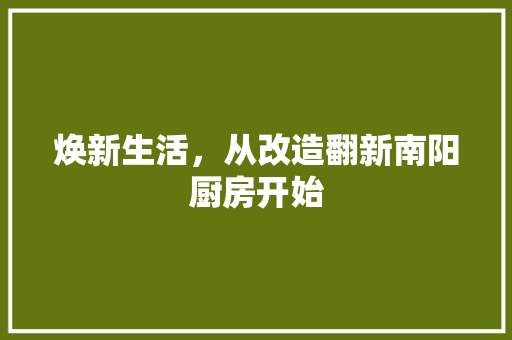 焕新生活，从改造翻新南阳厨房开始 综合便民