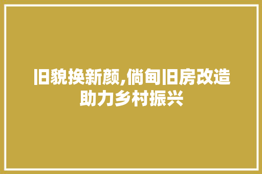 旧貌换新颜,倘甸旧房改造助力乡村振兴 汽车维修