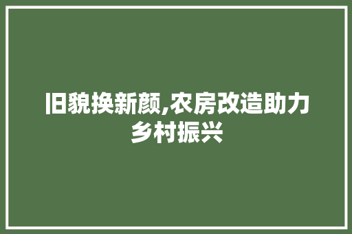 旧貌换新颜,农房改造助力乡村振兴