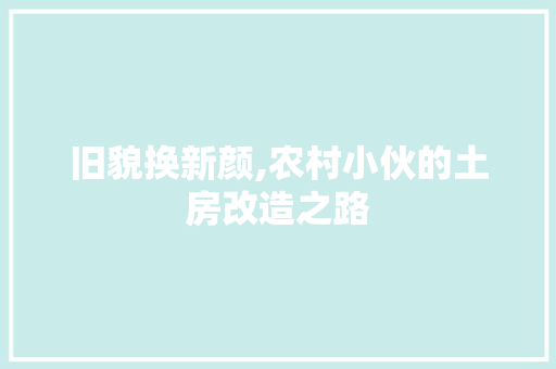 旧貌换新颜,农村小伙的土房改造之路