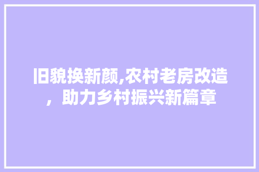 旧貌换新颜,农村老房改造，助力乡村振兴新篇章