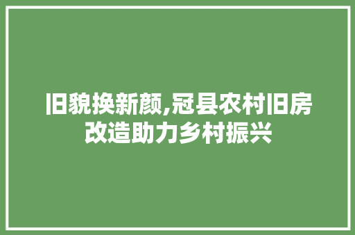 旧貌换新颜,冠县农村旧房改造助力乡村振兴