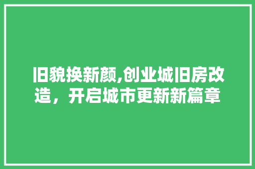 旧貌换新颜,创业城旧房改造，开启城市更新新篇章