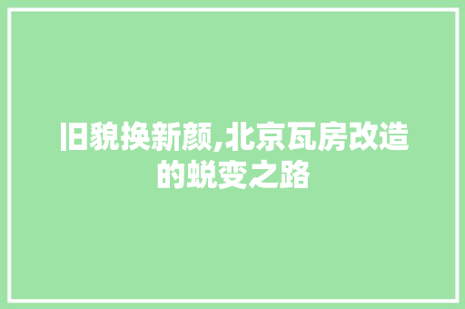 旧貌换新颜,北京瓦房改造的蜕变之路 家电维修