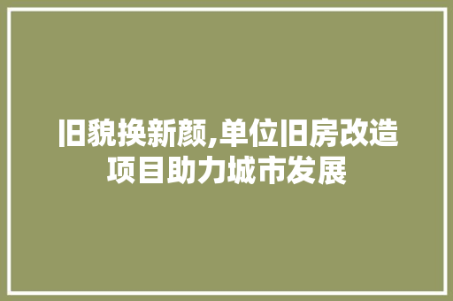 旧貌换新颜,单位旧房改造项目助力城市发展 厨房维修