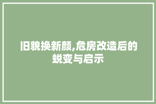 旧貌换新颜,危房改造后的蜕变与启示