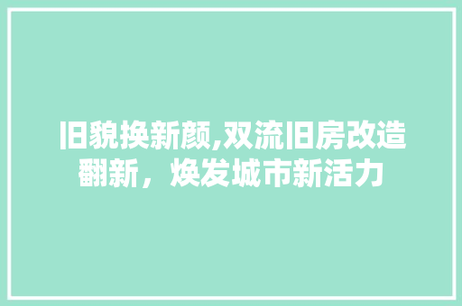 旧貌换新颜,双流旧房改造翻新，焕发城市新活力 墙体维修