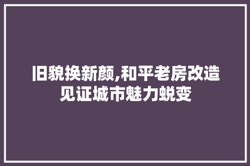 旧貌换新颜,和平老房改造见证城市魅力蜕变 汽车维修
