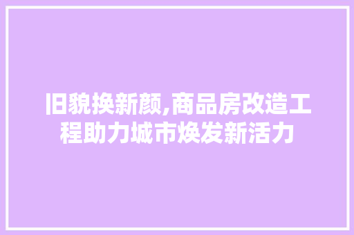 旧貌换新颜,商品房改造工程助力城市焕发新活力 厨房维修
