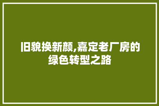 旧貌换新颜,嘉定老厂房的绿色转型之路 综合便民