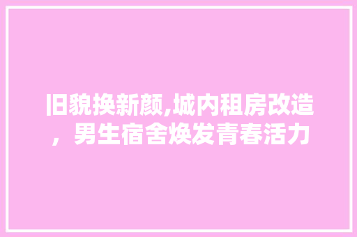 旧貌换新颜,城内租房改造，男生宿舍焕发青春活力