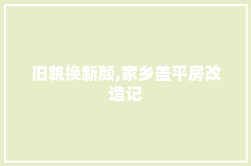 旧貌换新颜,家乡盖平房改造记