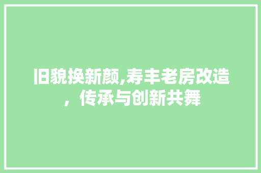 旧貌换新颜,寿丰老房改造，传承与创新共舞