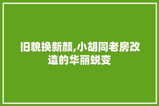 旧貌换新颜,小胡同老房改造的华丽蜕变