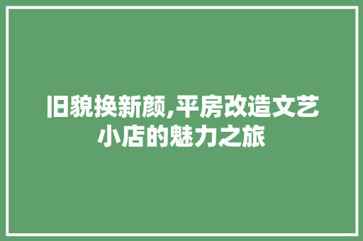 旧貌换新颜,平房改造文艺小店的魅力之旅