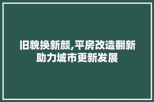 旧貌换新颜,平房改造翻新助力城市更新发展 墙体维修