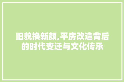 旧貌换新颜,平房改造背后的时代变迁与文化传承 汽车维修