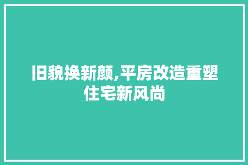 旧貌换新颜,平房改造重塑住宅新风尚 综合便民