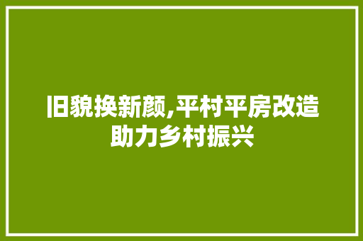 旧貌换新颜,平村平房改造助力乡村振兴 墙体维修