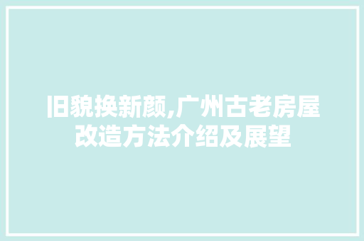 旧貌换新颜,广州古老房屋改造方法介绍及展望 厨房维修
