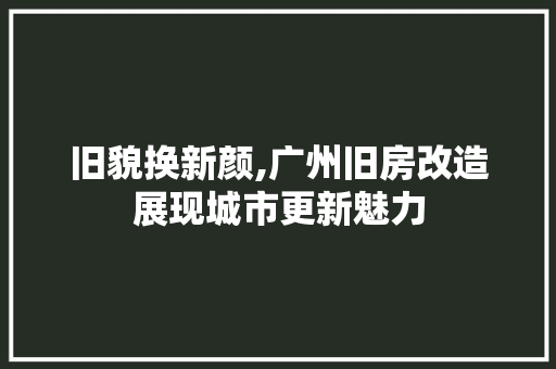旧貌换新颜,广州旧房改造展现城市更新魅力 综合便民