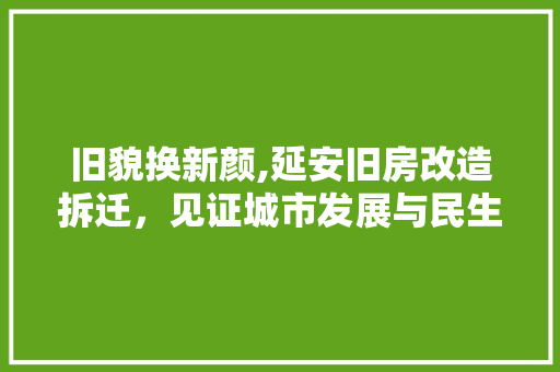 旧貌换新颜,延安旧房改造拆迁，见证城市发展与民生改善 综合便民