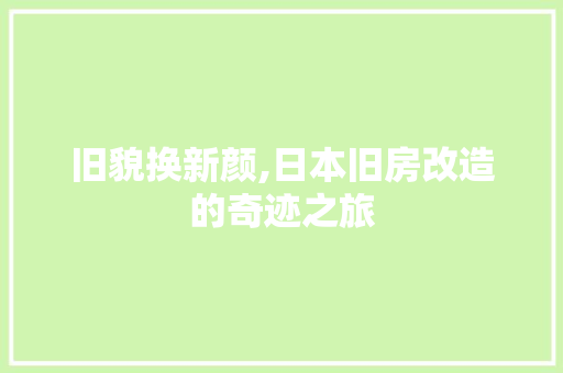 旧貌换新颜,日本旧房改造的奇迹之旅 厨房维修