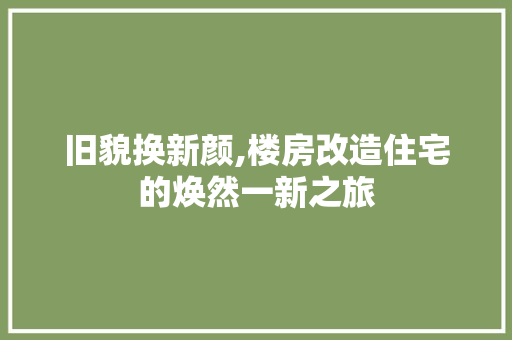 旧貌换新颜,楼房改造住宅的焕然一新之旅 墙体维修