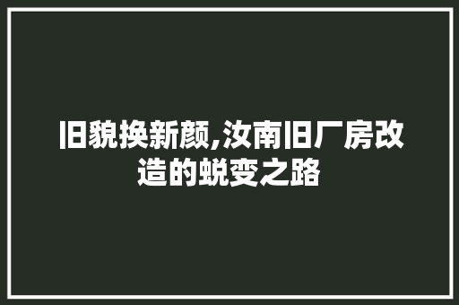 旧貌换新颜,汝南旧厂房改造的蜕变之路 汽车维修