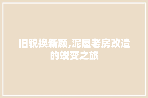 旧貌换新颜,泥屋老房改造的蜕变之旅