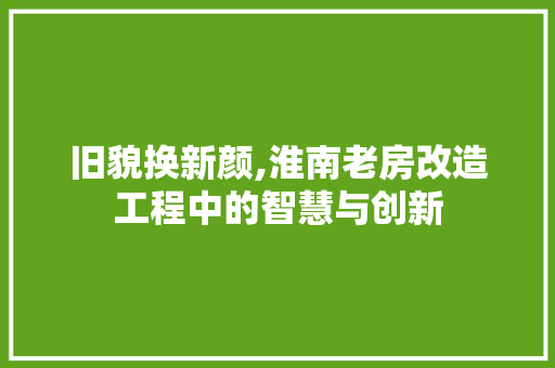 旧貌换新颜,淮南老房改造工程中的智慧与创新