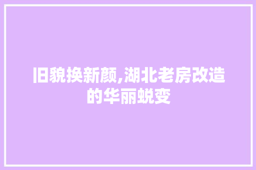 旧貌换新颜,湖北老房改造的华丽蜕变