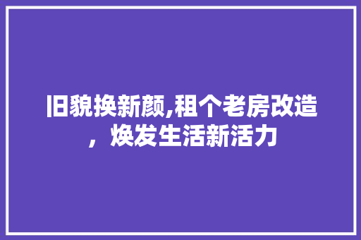 旧貌换新颜,租个老房改造，焕发生活新活力