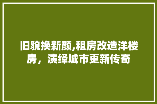 旧貌换新颜,租房改造洋楼房，演绎城市更新传奇