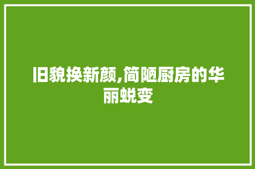 旧貌换新颜,简陋厨房的华丽蜕变