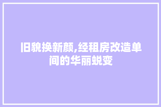 旧貌换新颜,经租房改造单间的华丽蜕变
