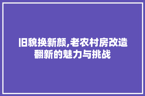 旧貌换新颜,老农村房改造翻新的魅力与挑战 家电维修